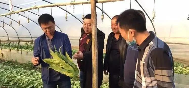 CQ9电子·(中国)唯一官方网站