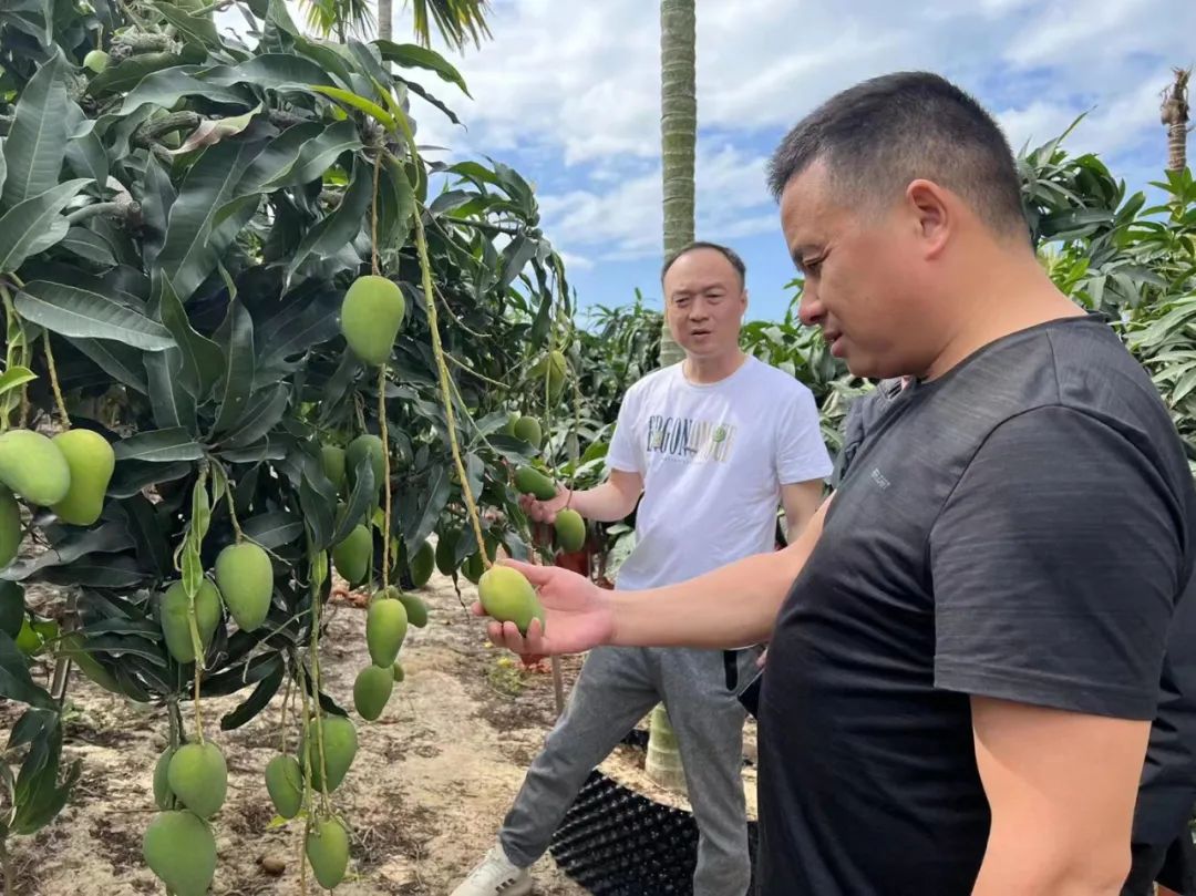 CQ9电子·(中国)唯一官方网站