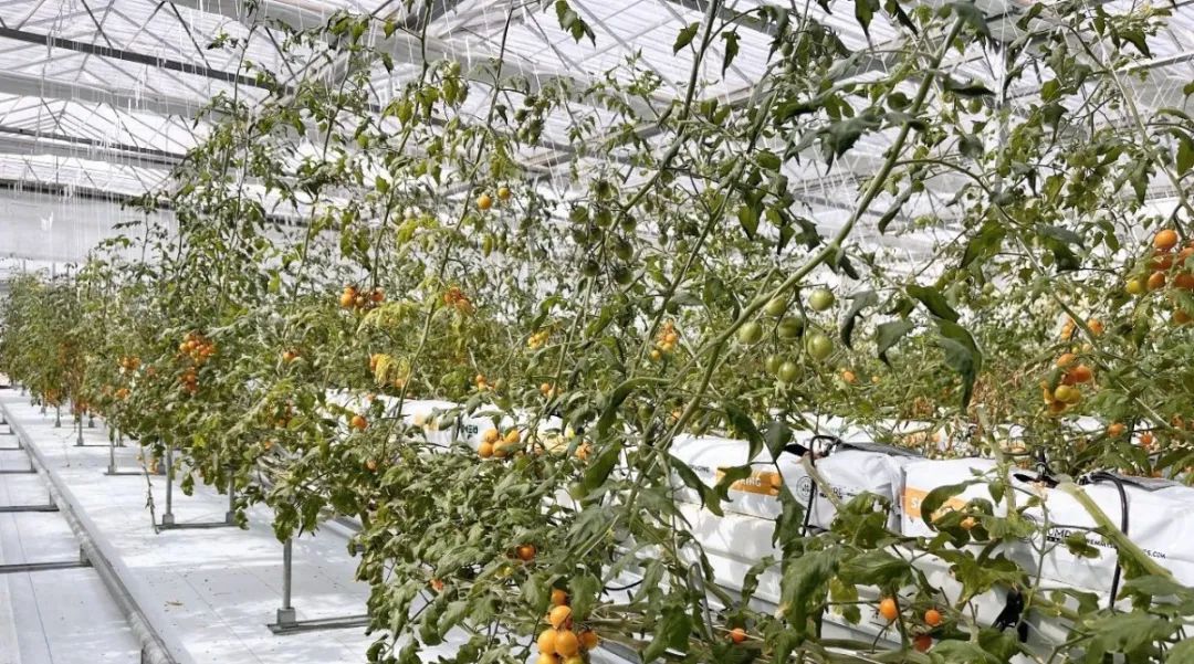 CQ9电子·(中国)唯一官方网站
